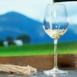 Trebbiano