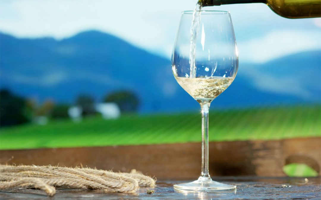 Trebbiano