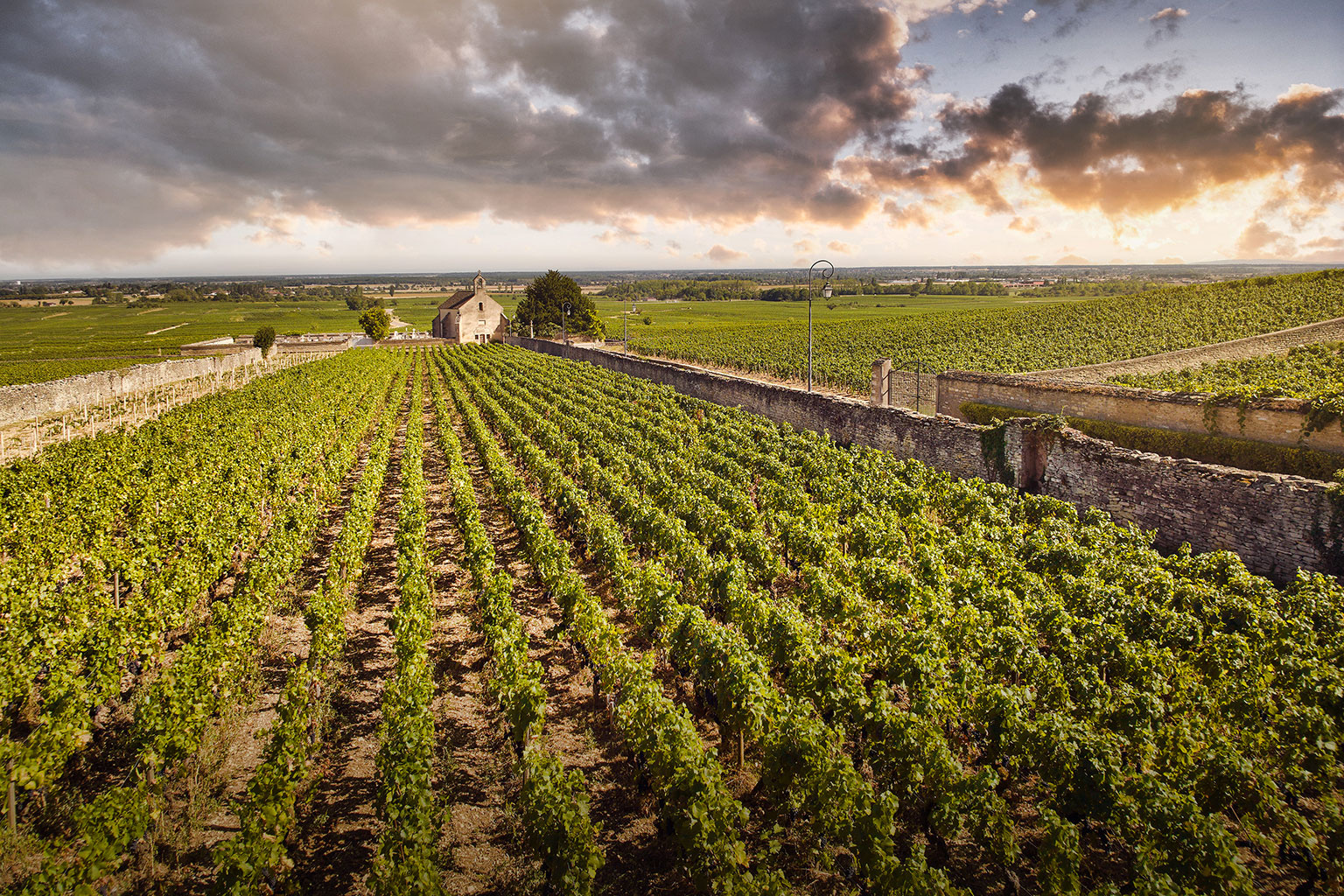 Domaine Clos de la Chapelle