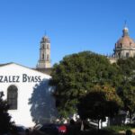 Gonzalez Byass