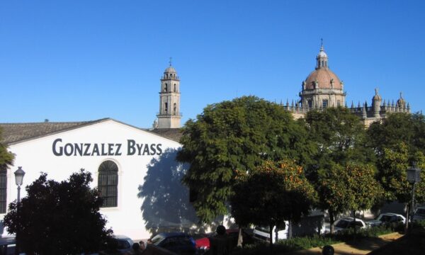 Gonzalez Byass