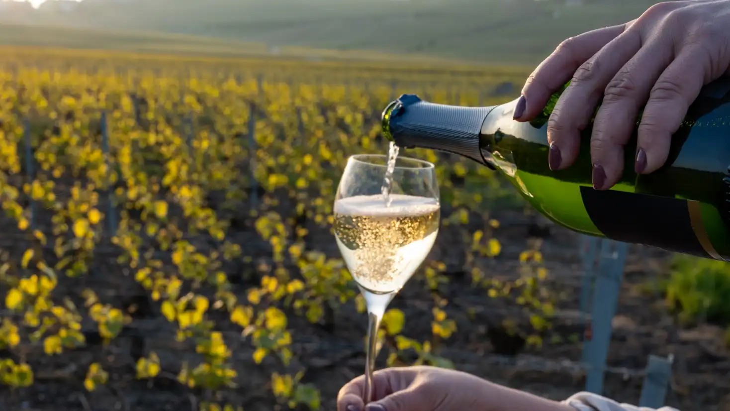 Champagne